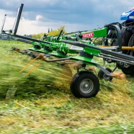 Tornado 5,50 hövändare Talex