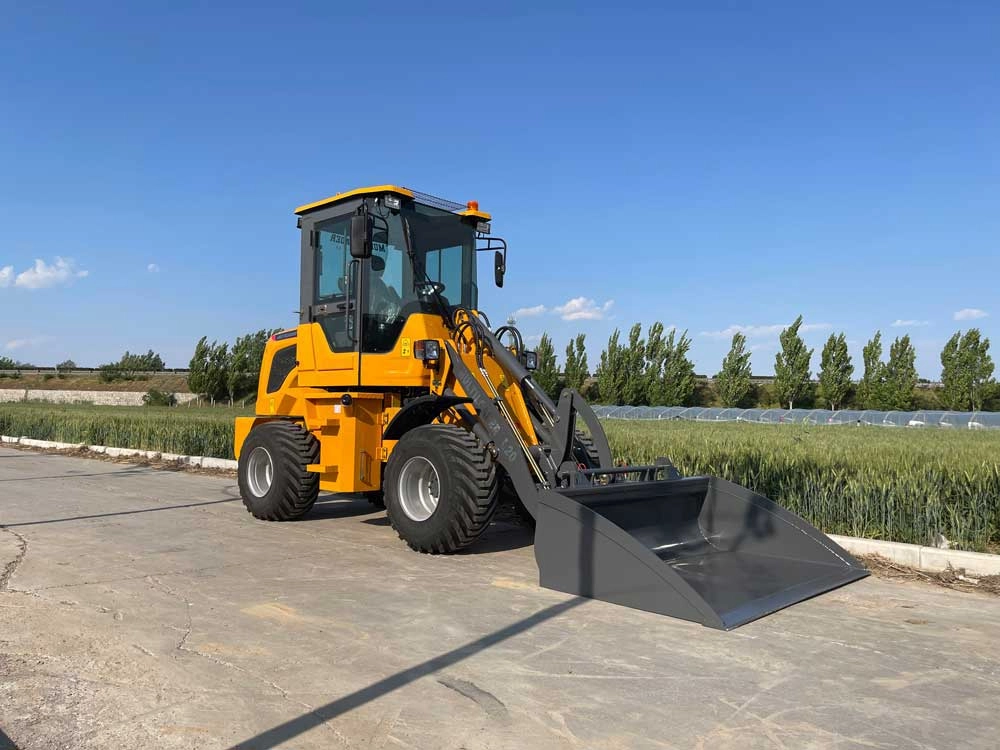 Multiloader L20 - Bild 2