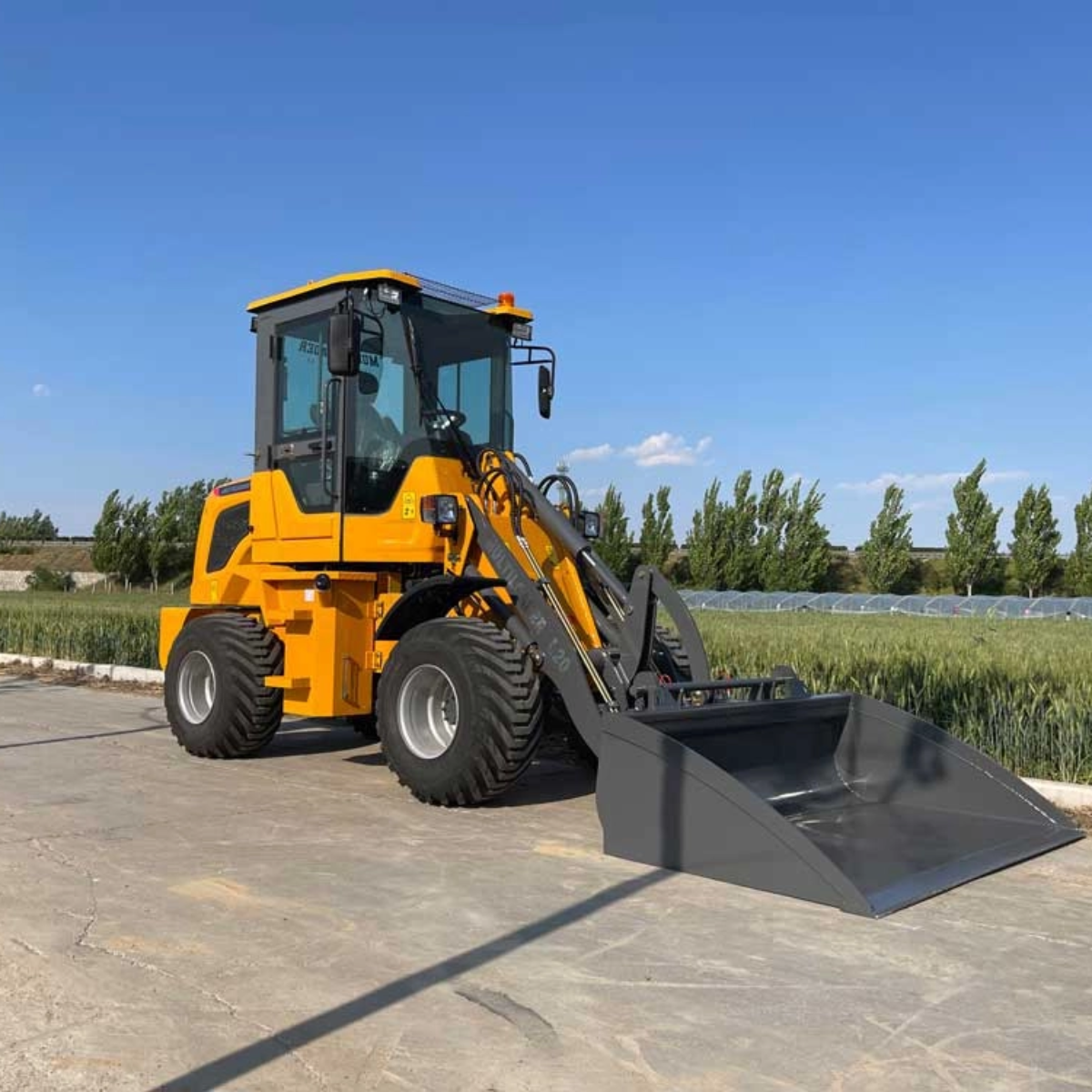 Multiloader L20 Economic