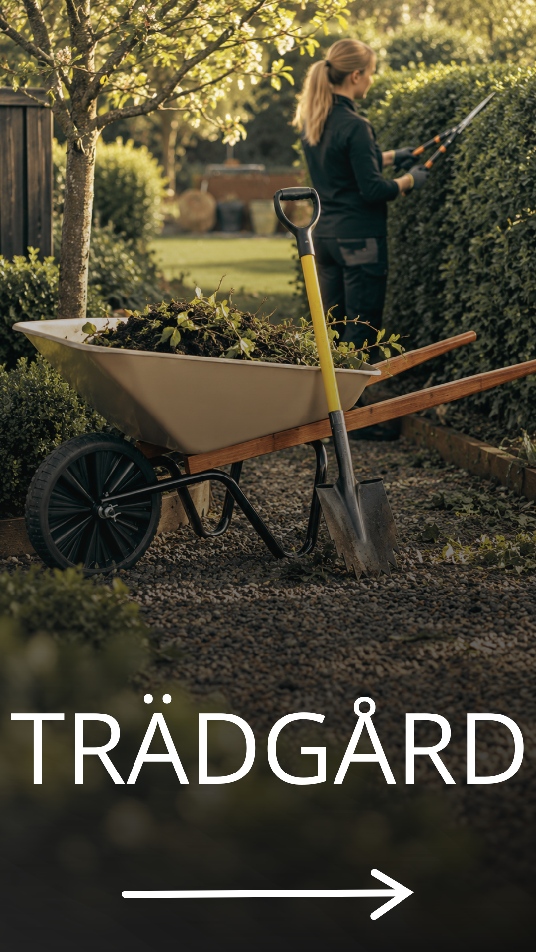 Trädgård